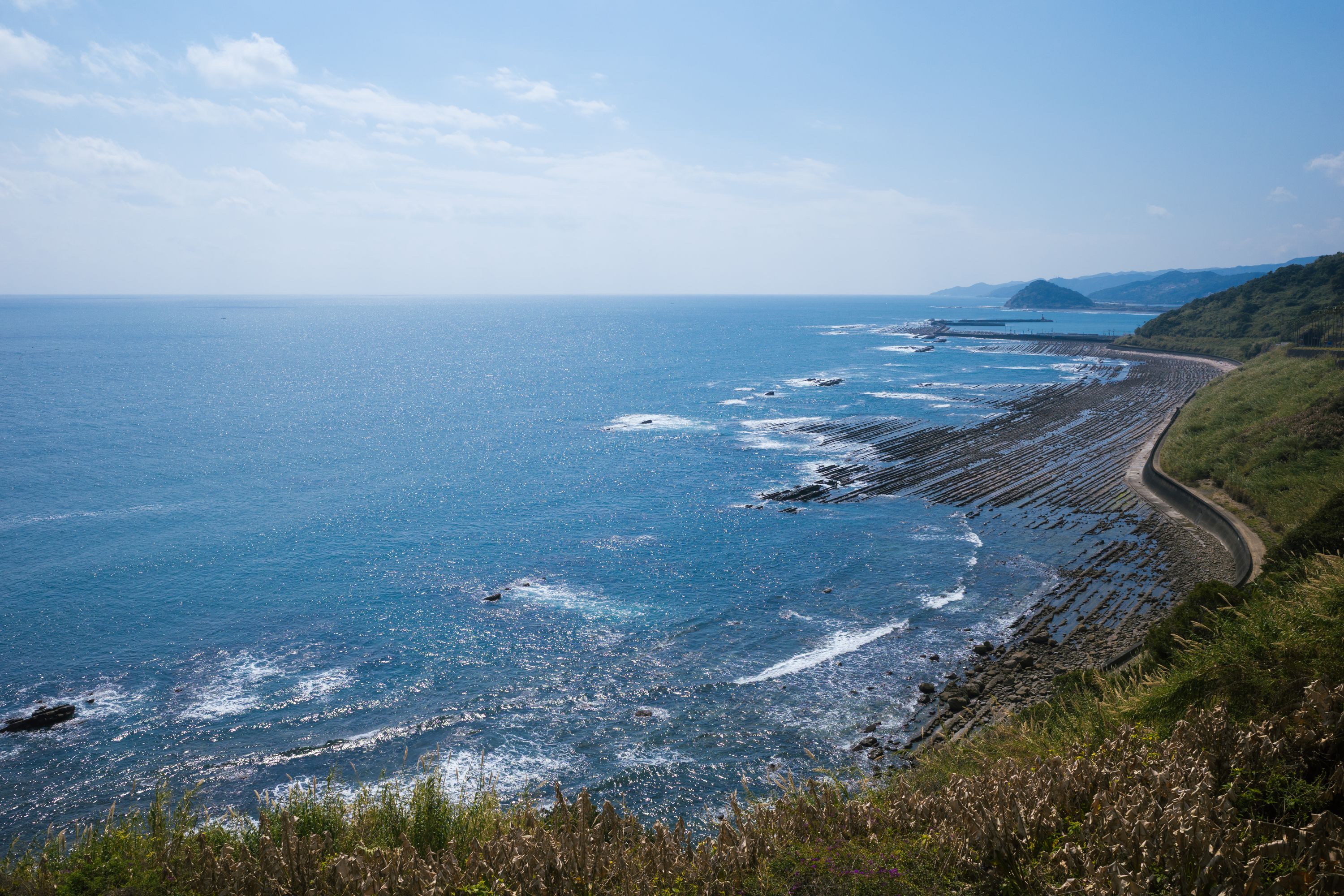 Miyazaki 4
