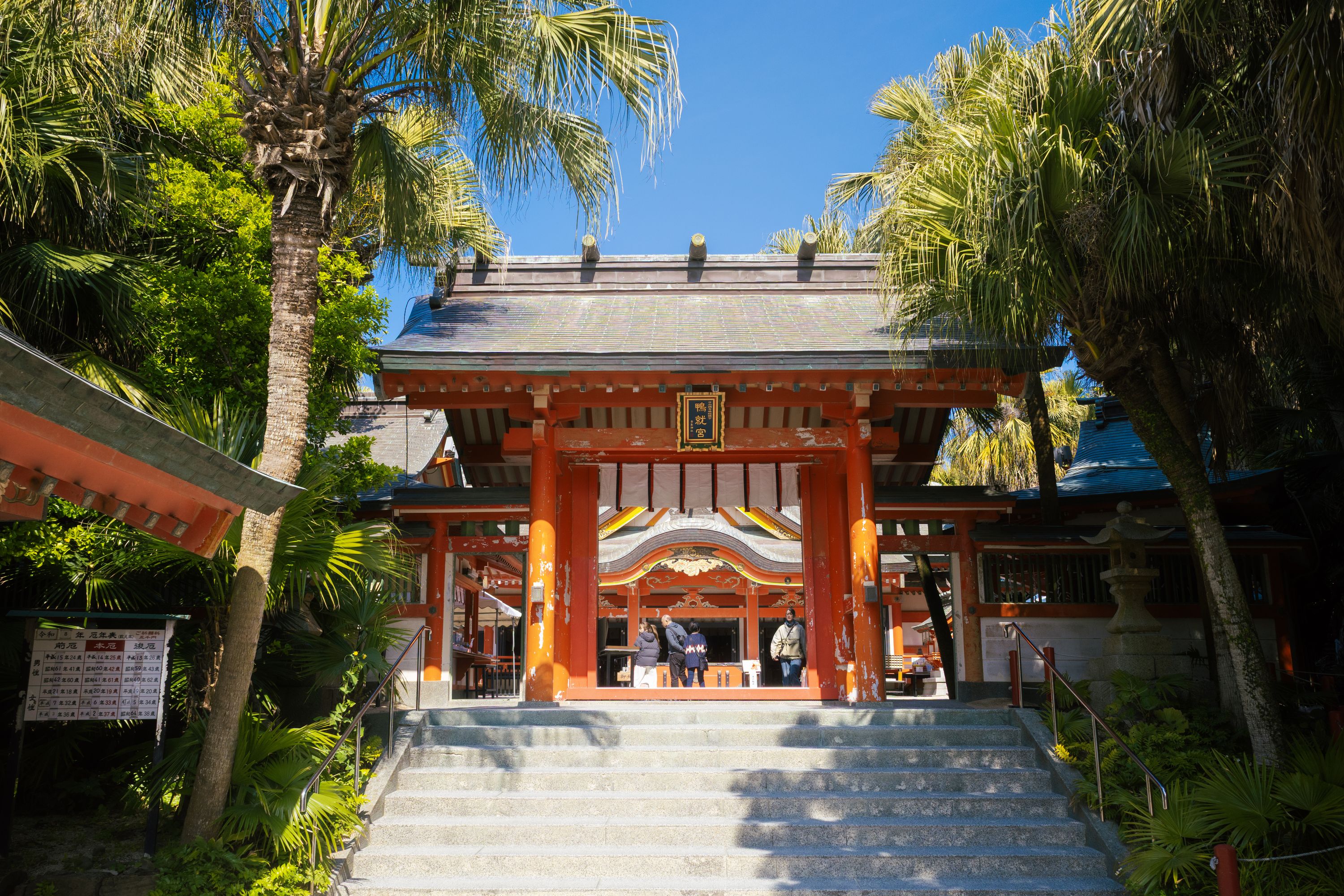 Miyazaki 5