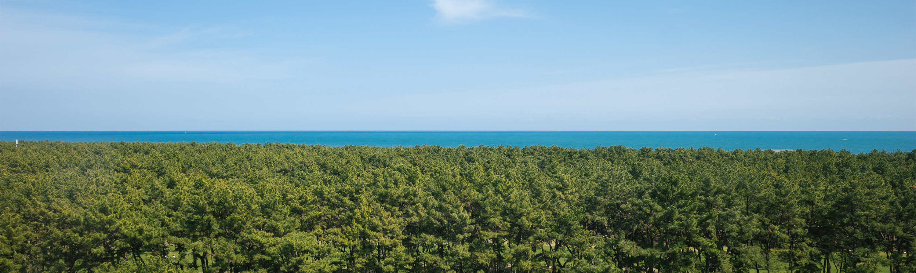 Miyazaki City